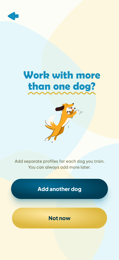 Dog Sport